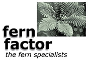 Fern Factor logo - Christchurch fern specialists