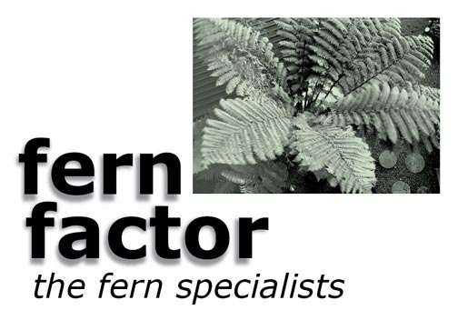 Fern Factor logo - Christchurch fern specialists