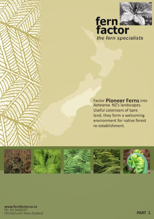 Publication - Pioneer Ferns Part 1