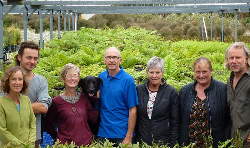 Team at Fern Factor Nursery